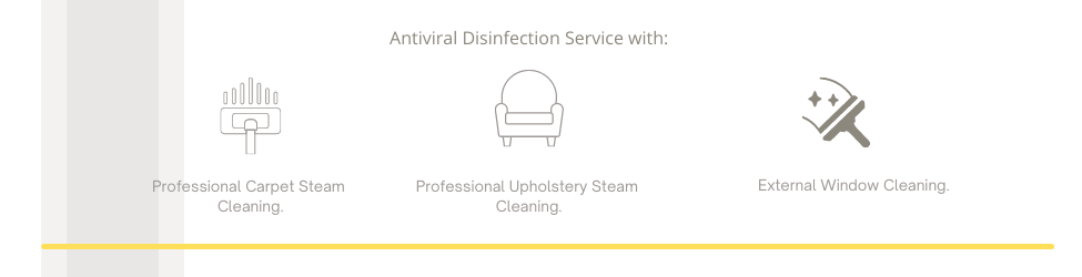 antiviral additional services